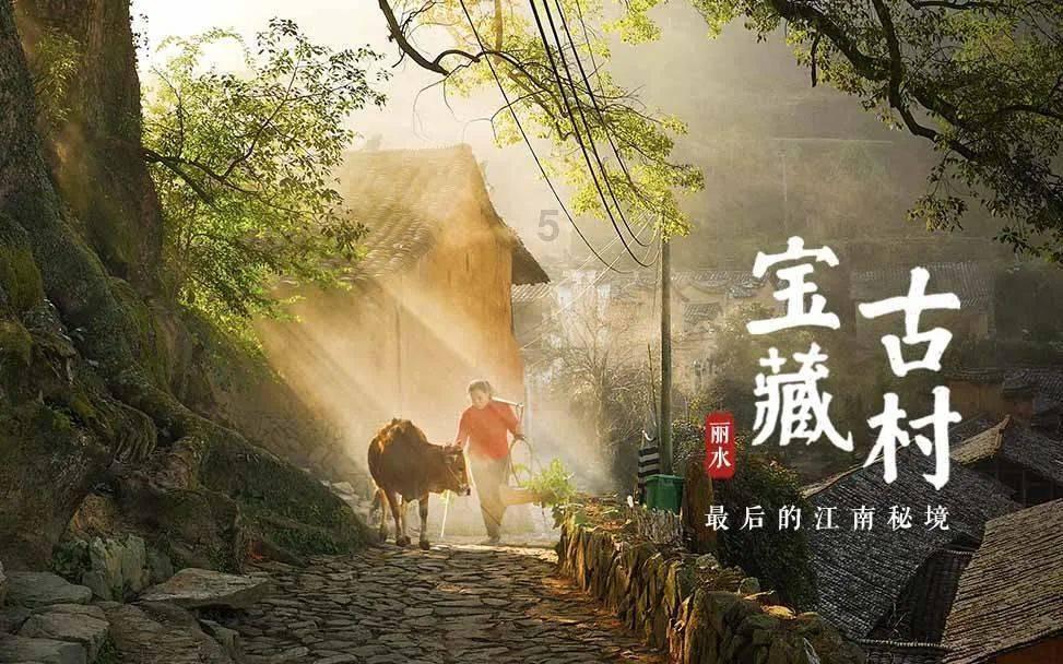 蛋羹怎么做？游戏画面